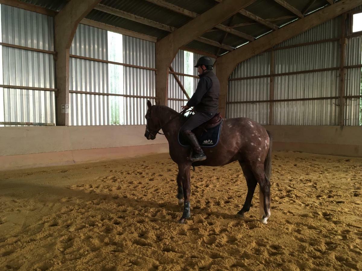 Ferme Gite Equestre En Charente Confolens Eksteriør bilde
